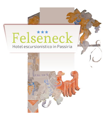 Felseneck Logo